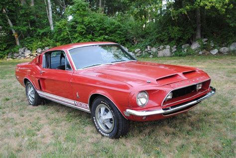 It may surprise you to know that. . Cape cod mustang